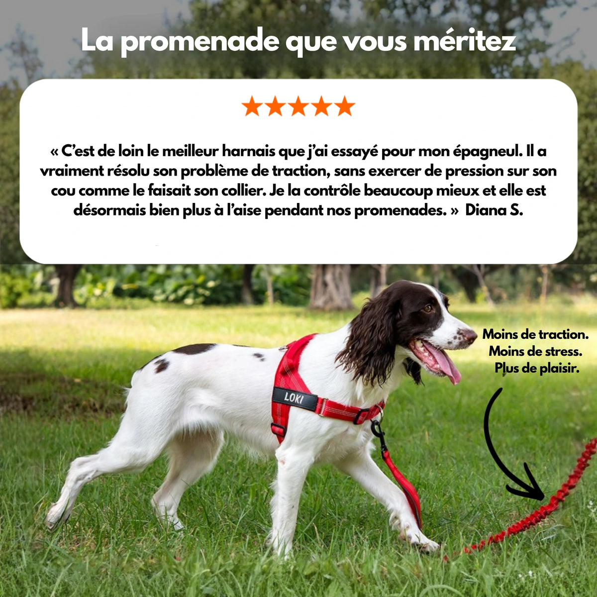 Harnais anti-traction pour chien Selorie